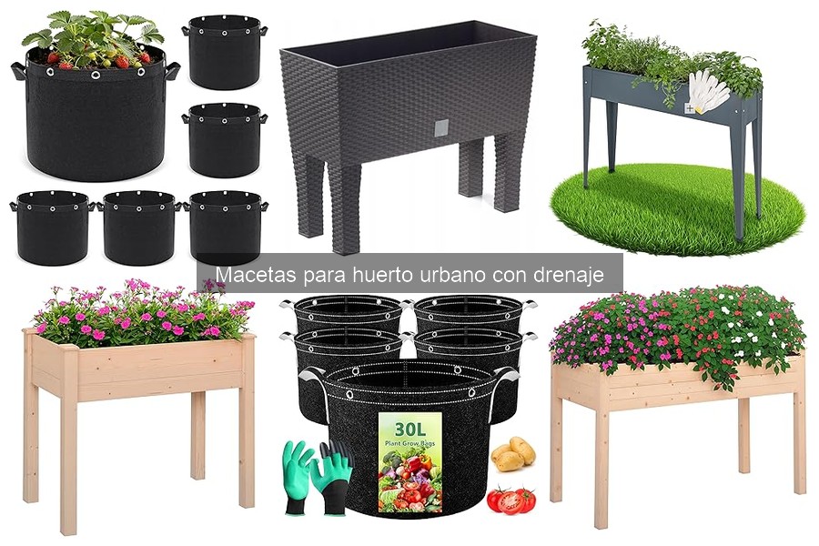 Consejos para Personalizar Macetas con Drenaje en tu Huerto Urbano