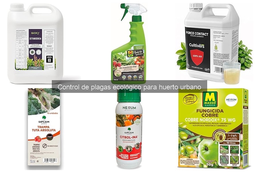 Control de Plagas Ecológico: Todo lo que Debes Saber