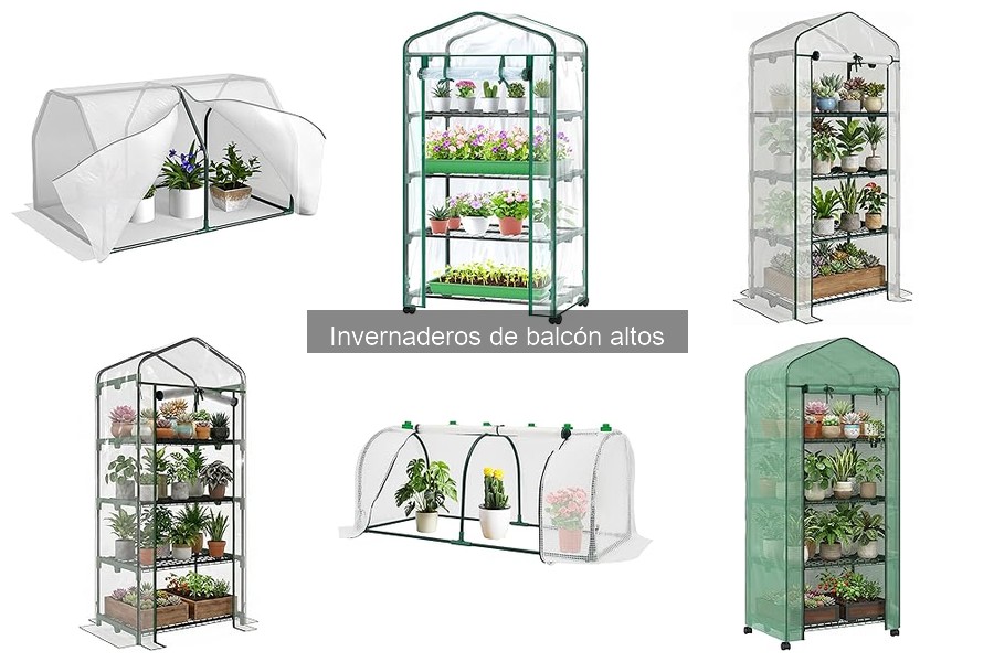 Costos de invernaderos de balcón altos: guía completa