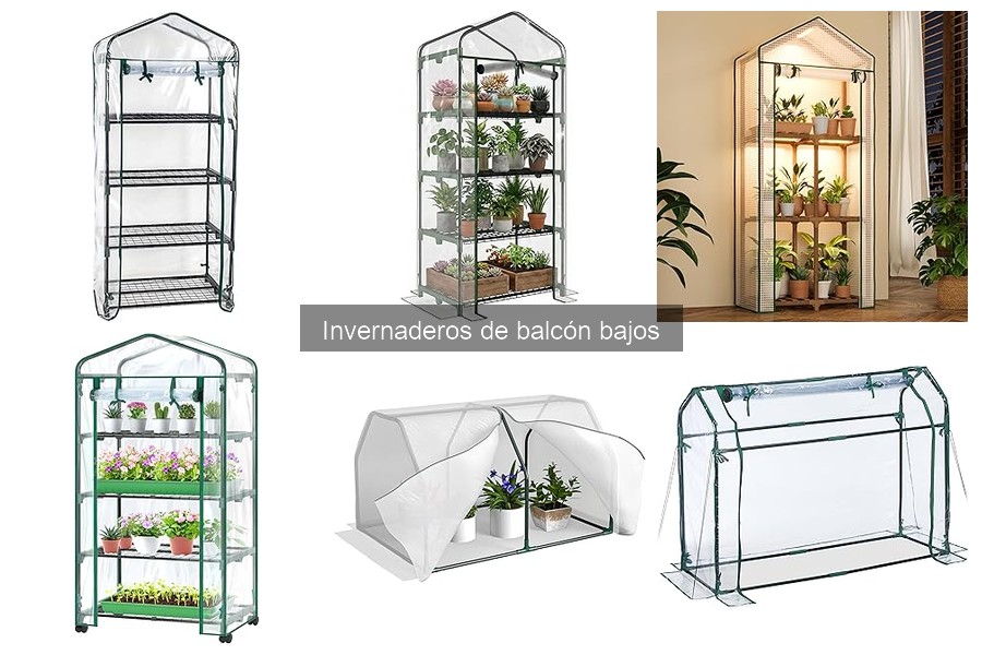 Costos de invernaderos de balcón bajos y dónde comprarlos