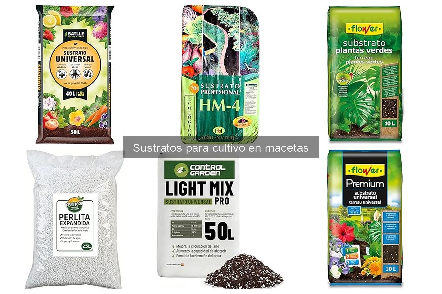 ¿Cuál es el mejor sustrato para plantas de interior?