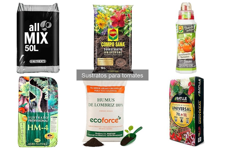 Cuándo cambiar el sustrato de los tomates: guía práctica