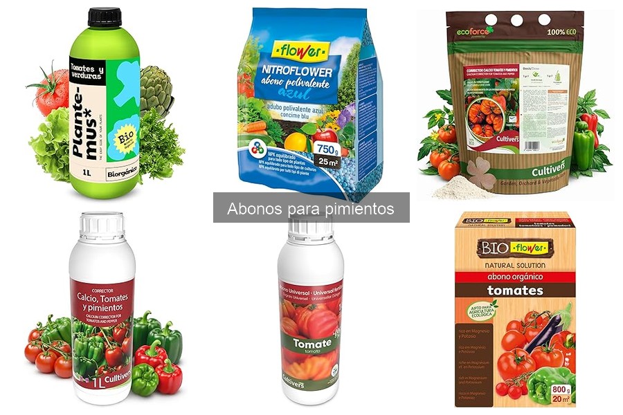 ¿Cuándo fertilizar pimientos? Calendario de fertilización