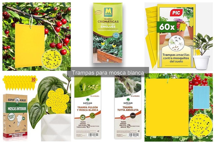 Cuándo usar trampas para mosca blanca en tu huerto urbano