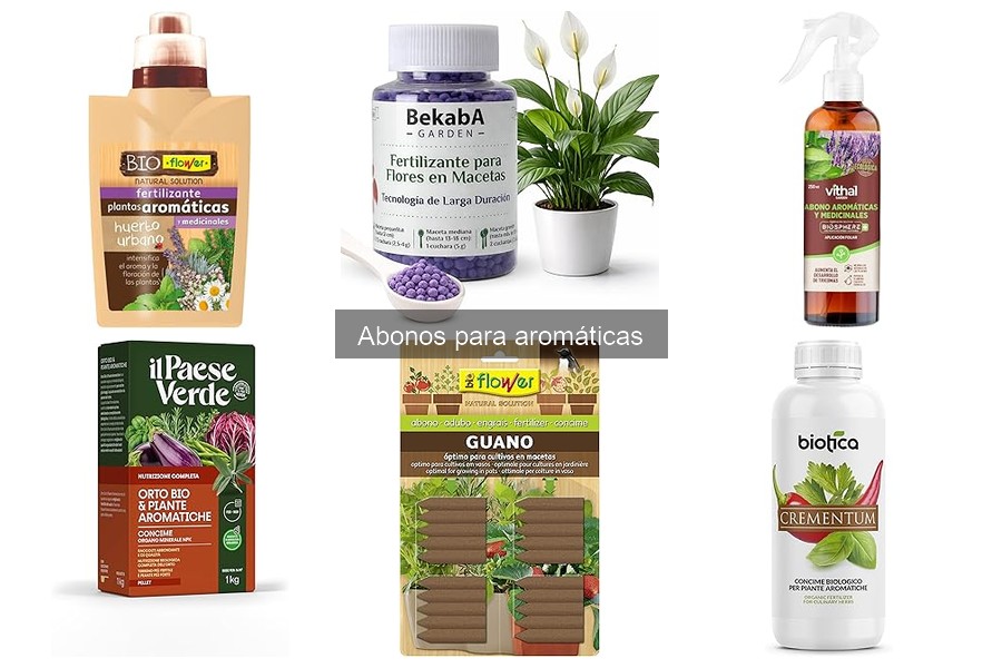 ¿Cuándo y con qué frecuencia abonar las hierbas aromáticas?