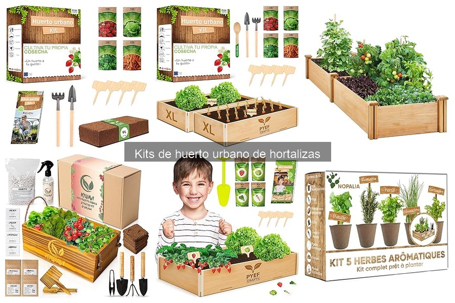 ¿Cuánto cuesta un kit de huerto urbano de hortalizas?
