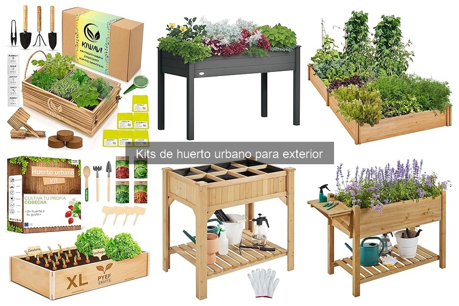 ¿Cuánto cuesta un kit de huerto urbano para exterior?