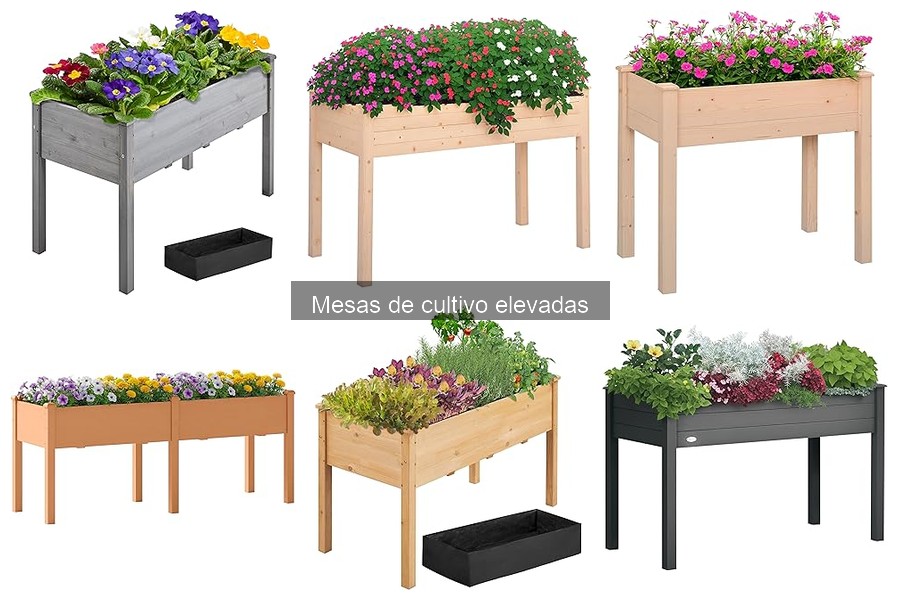 ¿Cuánto cuesta una mesa de cultivo elevada? Precios y factores