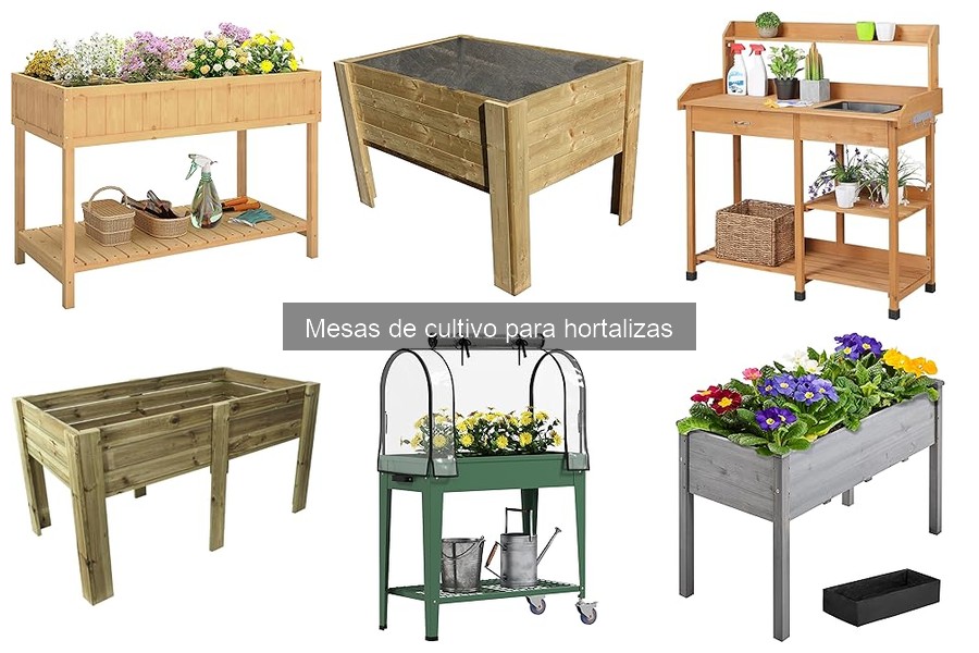 ¿Cuánto cuesta una mesa de cultivo para hortalizas?