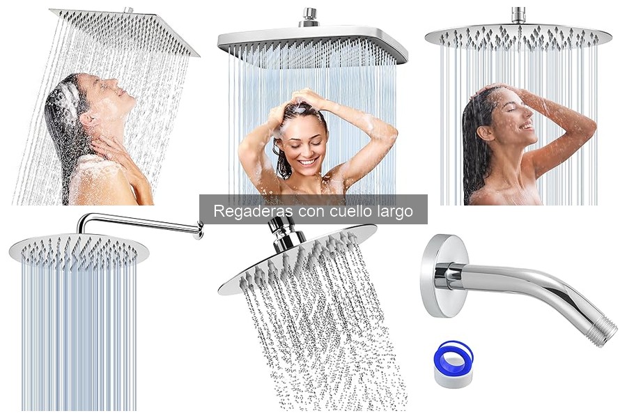¿Cuánto cuesta una regadera con cuello largo?