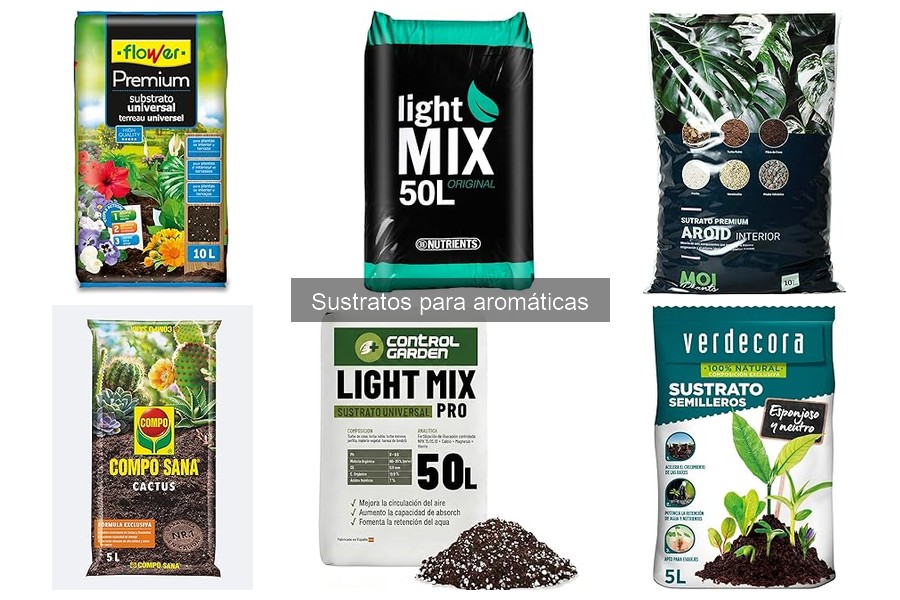 ¿Cuánto riego necesita un sustrato para aromáticas?