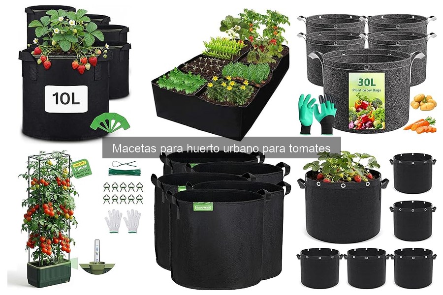 ¿Cuánto riego necesitan las macetas de tomates?