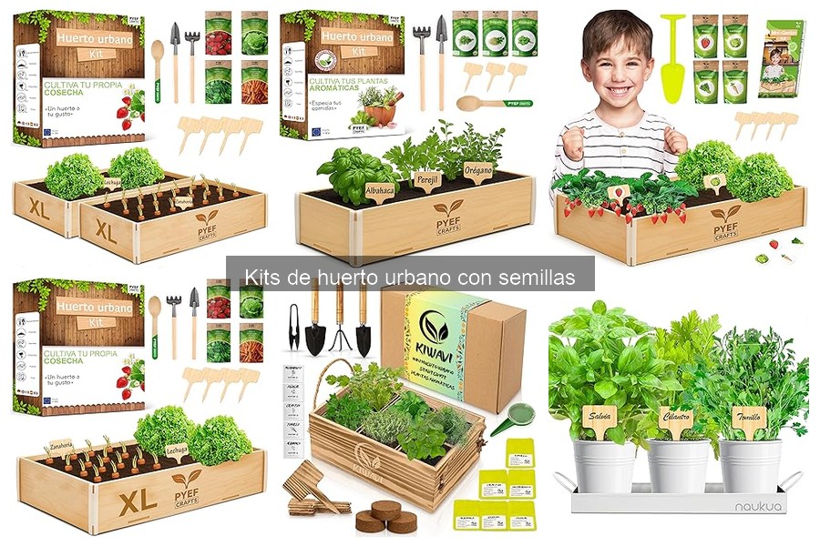 ¿Cuánto tarda en crecer un huerto urbano con kits?