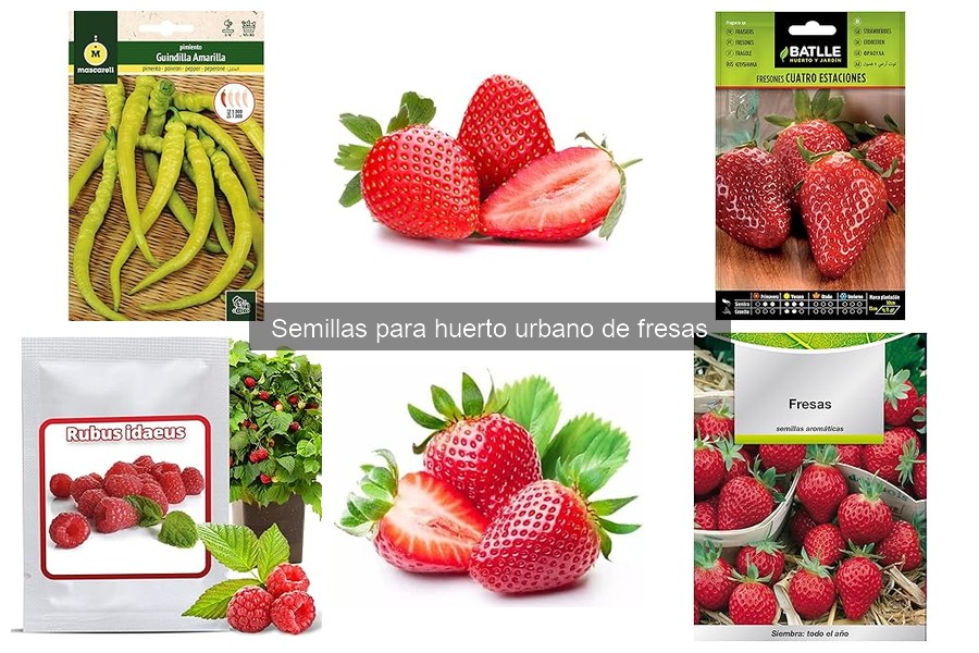 ¿Cuánto tardan en germinar las semillas de fresa?