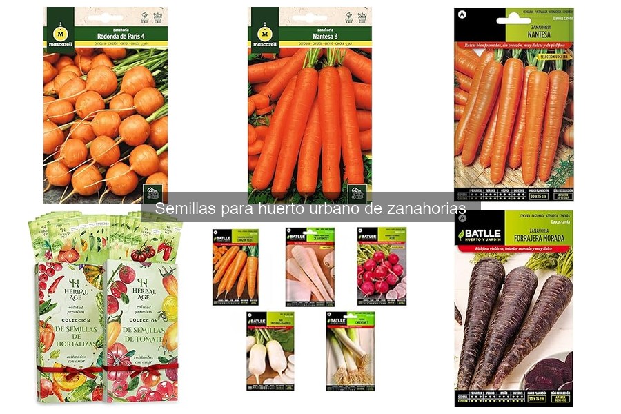 Cuidados Clave para las Zanahorias en Tu Huerto Urbano