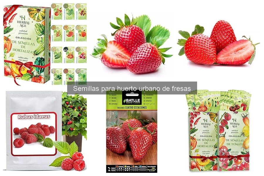 Cuidados de las plantas de fresa tras la siembra