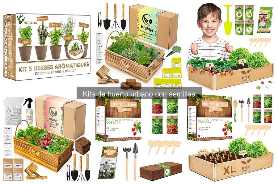 Cuidados Esenciales para Plantas en Kits de Huerto Urbano