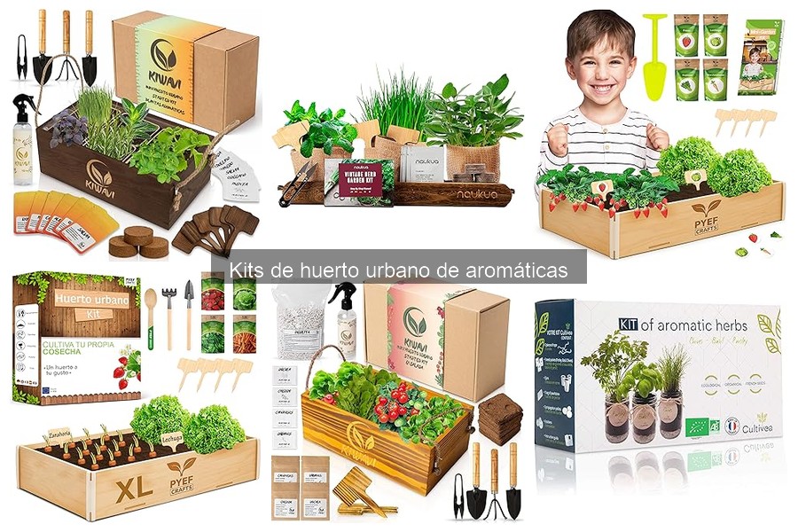 Cuidados Específicos para Hierbas Aromáticas en Kits