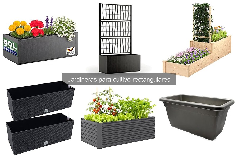 Cuidados y Mantenimiento de Jardineras Rectangulares