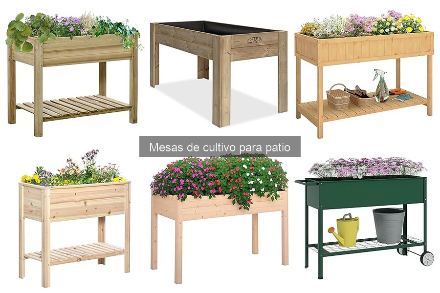 Cuidados y Mantenimiento de Mesas de Cultivo para Patio