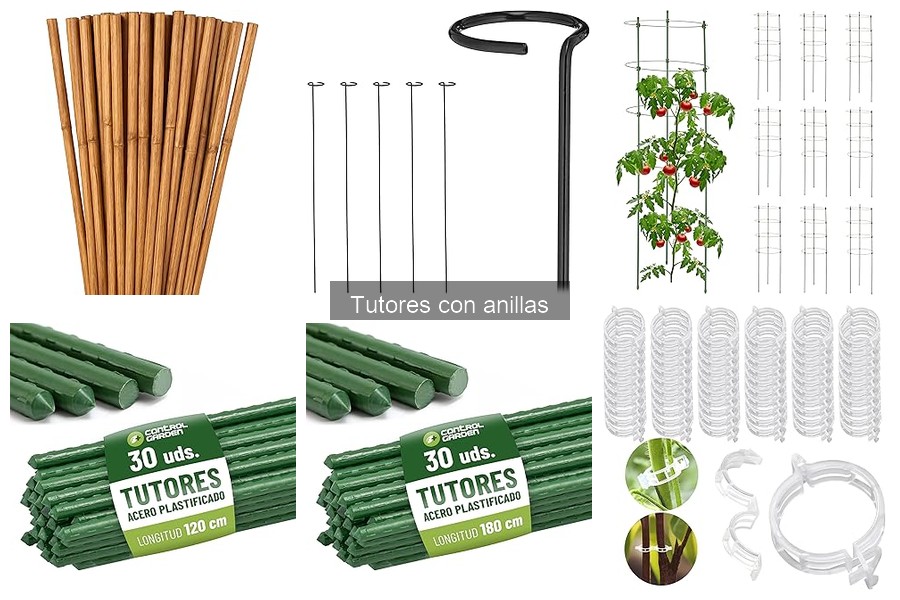 Cuidados y Mantenimiento de Tutores con Anillas para Plantas