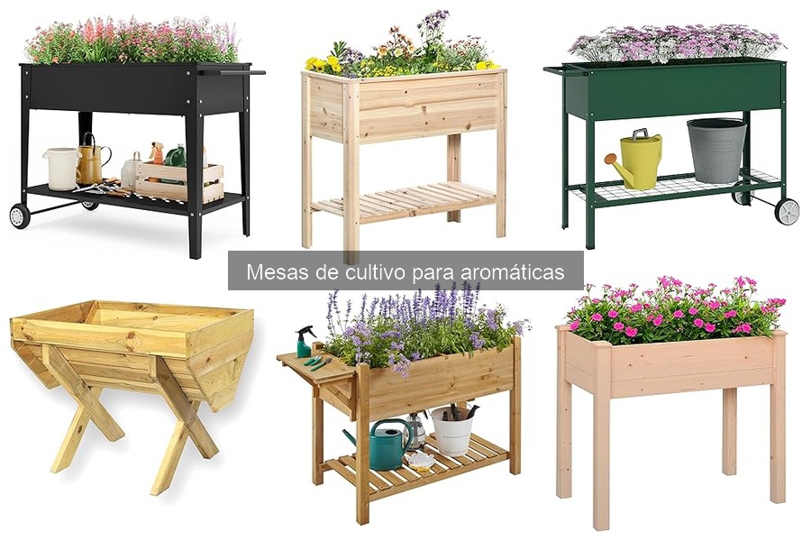 Cultiva tus Aromáticas en Mesa de Cultivo: Guía Práctica