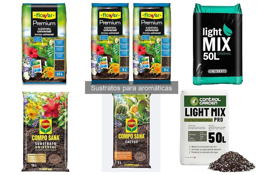 Descubre los Mejores Sustratos para Aromáticas