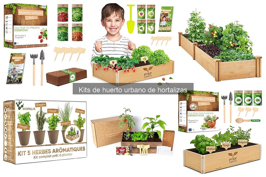 ** Descubre qué incluye un kit de huerto urbano de hortalizas