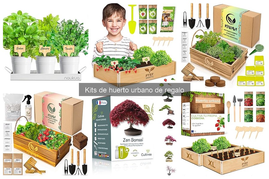 Diferencias entre Kits de Huerto Urbano: Interior vs Exterior