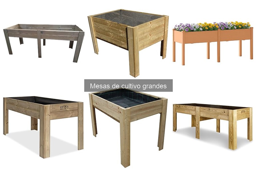 Diferencias entre mesas de cultivo grandes y jardineras