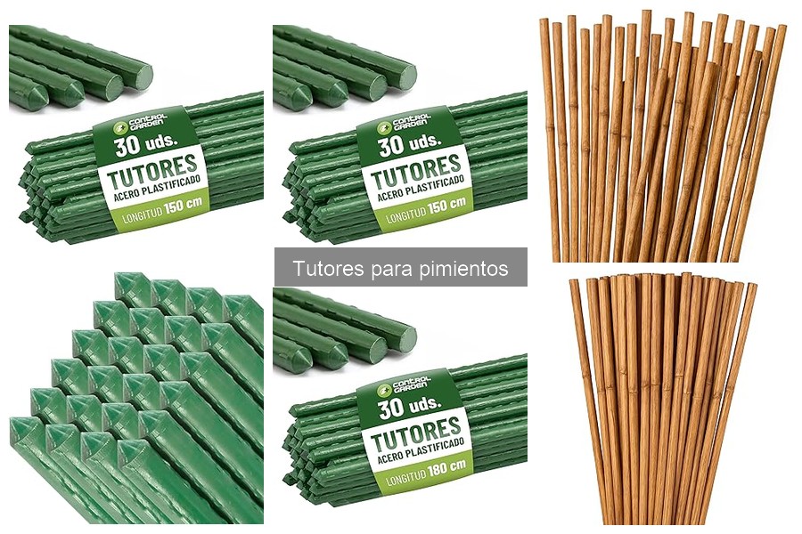 Diseños Creativos de Tutores para Pimientos en tu Huerto