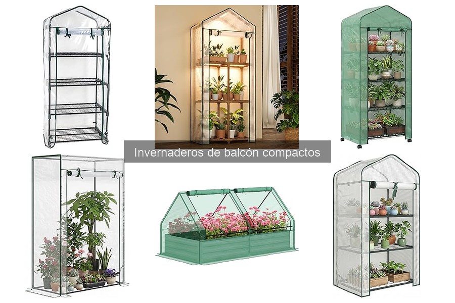 Dónde comprar invernaderos de balcón compactos al mejor precio