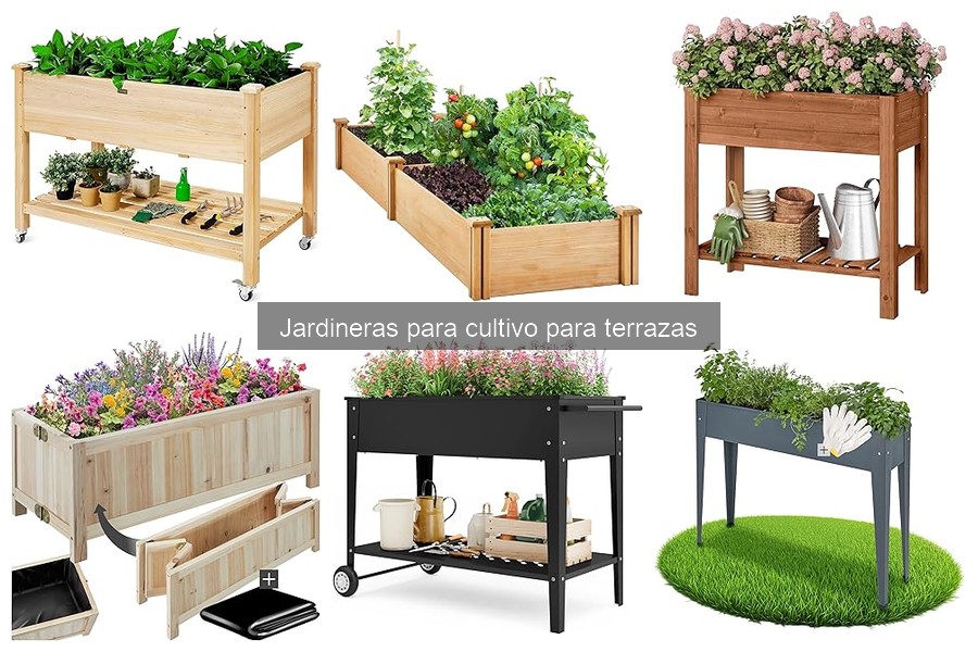 ** Dónde comprar jardineras para cultivo en terrazas: las mejores opciones