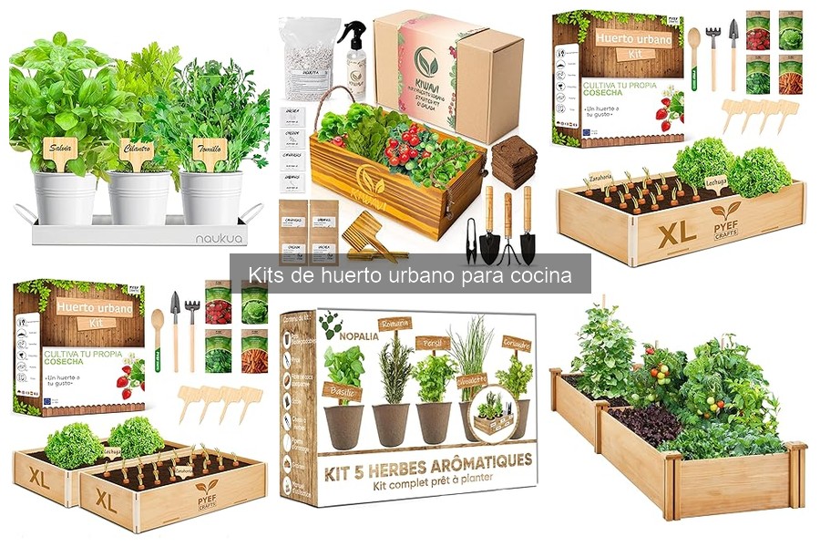 Dónde comprar kits de huerto urbano a buen precio