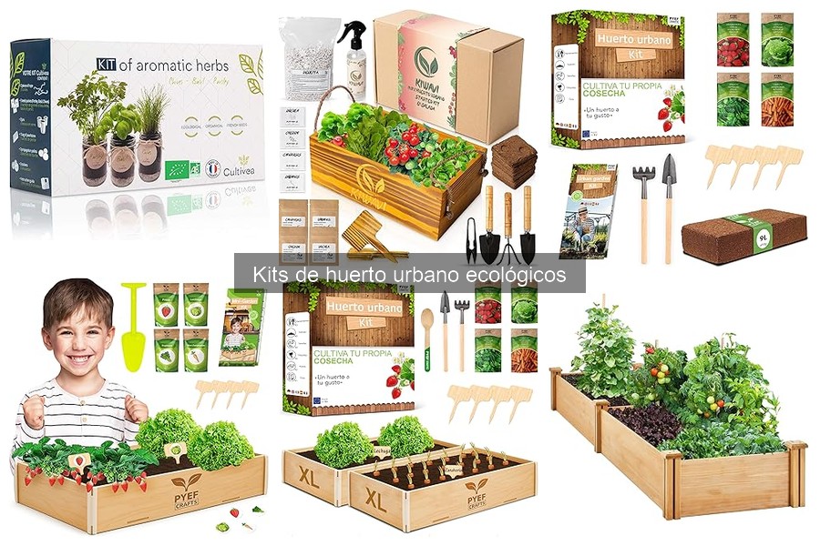 Dónde comprar kits de huerto urbano ecológicos online