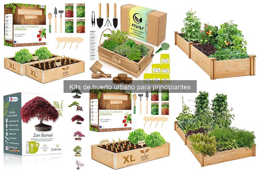 Dónde comprar kits de huerto urbano para principiantes