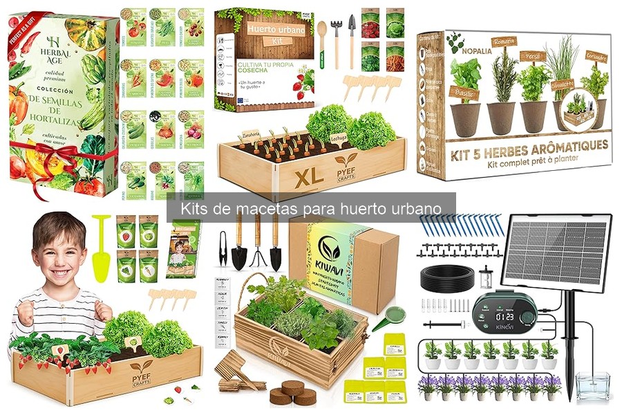 Dónde Comprar Kits de Macetas para Huerto Urbano