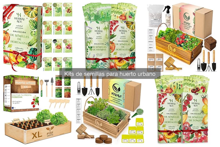Dónde comprar kits de semillas para huerto urbano