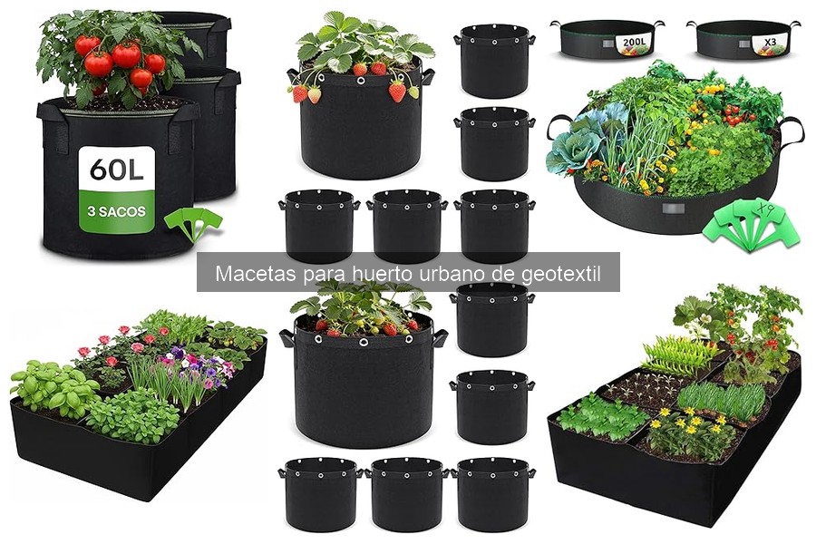 Dónde comprar macetas de geotextil en línea: Mejores opciones