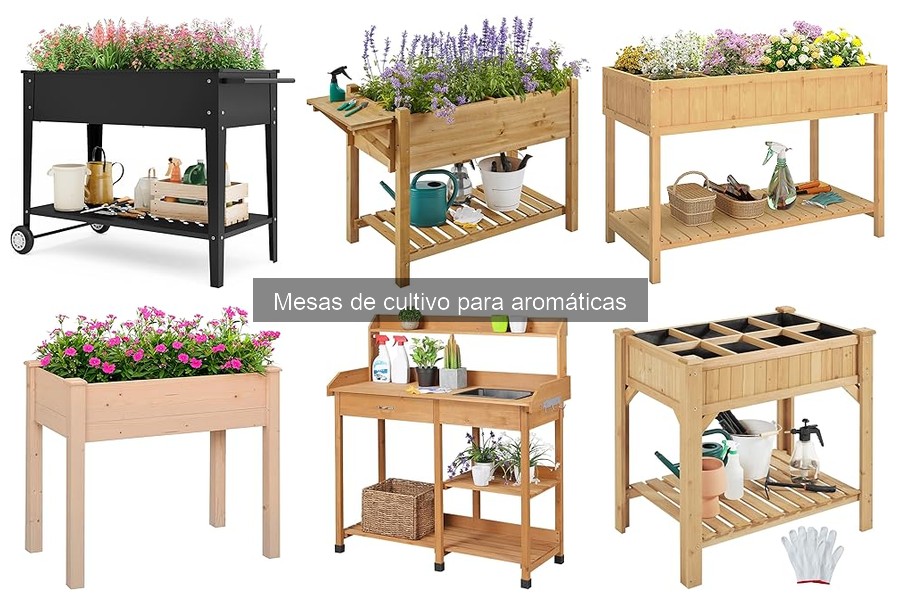 Dónde comprar mesas de cultivo para aromáticas online y en tiendas