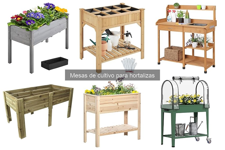 Dónde Comprar Mesas de Cultivo para Hortalizas a Buen Precio