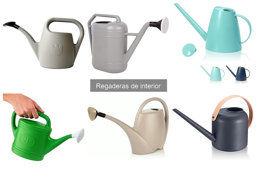 Dónde comprar regaderas de interior: Mejores opciones y precios