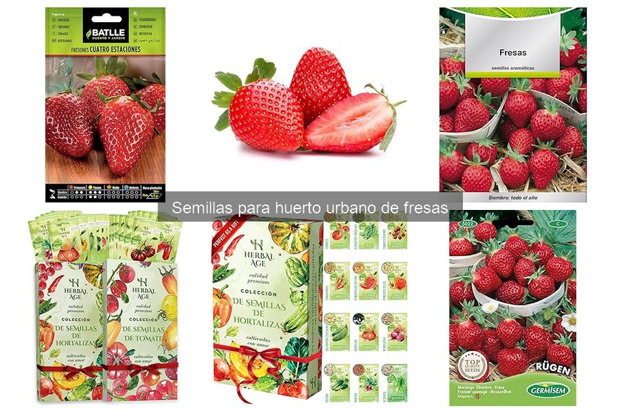Dónde comprar semillas de fresa para tu huerto urbano