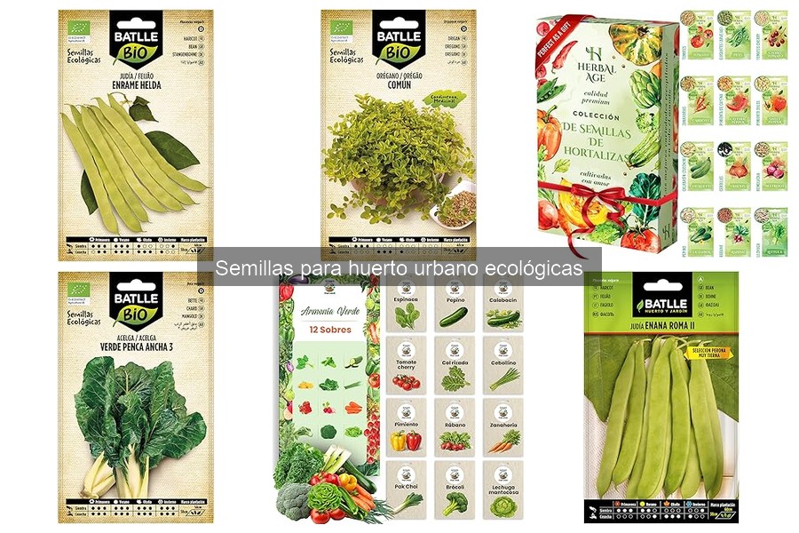 Dónde Comprar Semillas Ecológicas para Huertos Urbanos