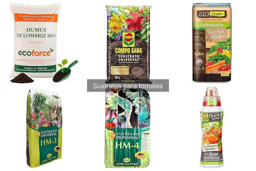 Dónde comprar sustrato para tomates: guías y mejores opciones