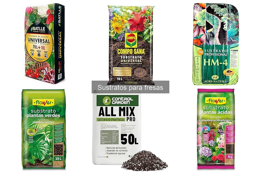 Dónde comprar sustratos para fresas: mejores opciones y ofertas