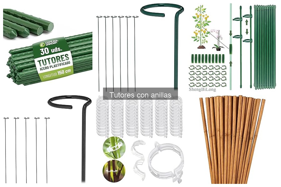 ¿Dónde comprar tutores con anillas a buen precio?