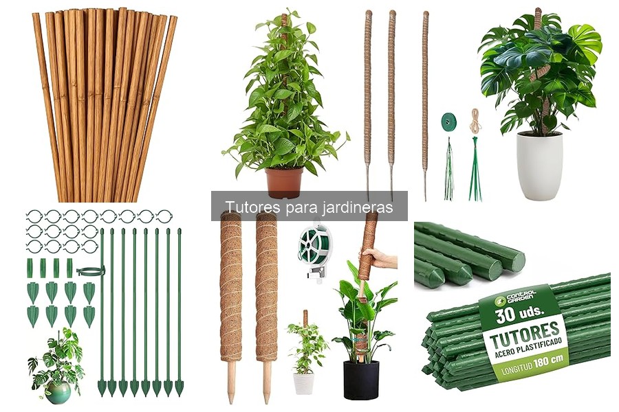 Dónde comprar tutores para jardineras a buen precio