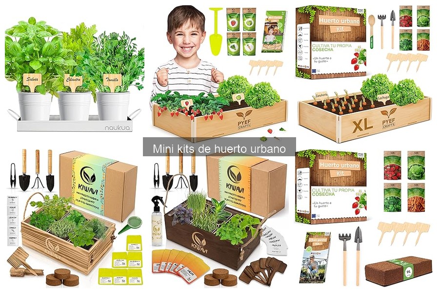 ** Dónde comprar un mini kit de huerto urbano fácilmente