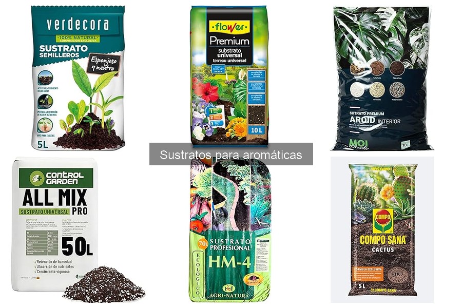 Efecto del pH en sustratos para aromáticas: Mejores opciones